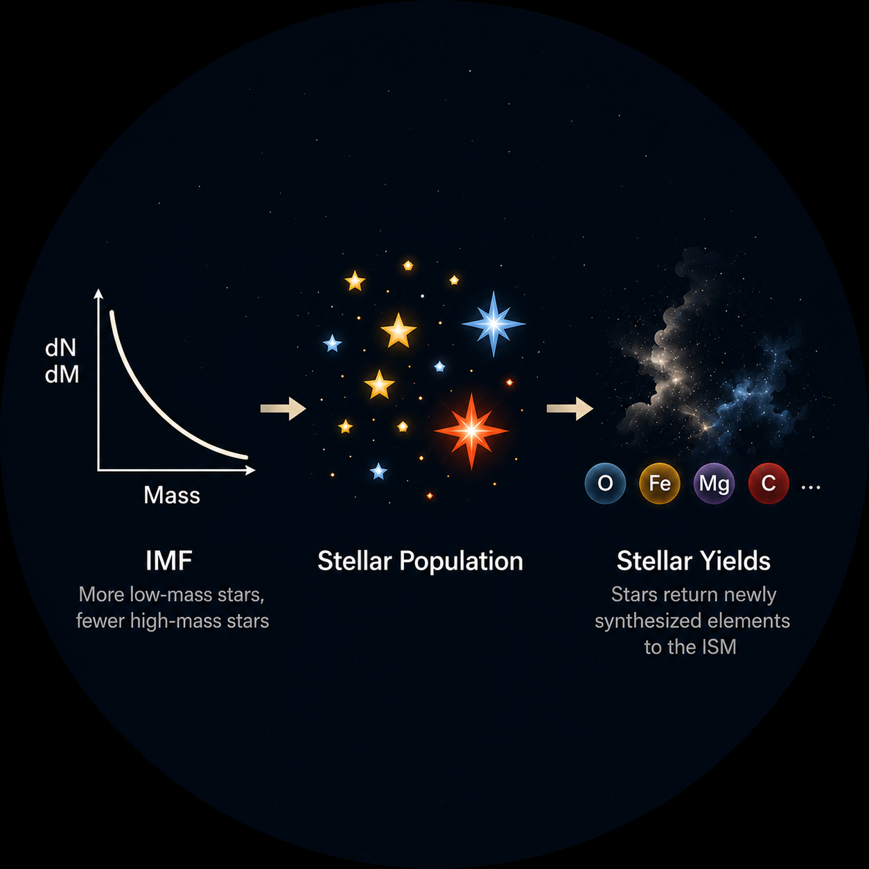 IMF and stellar yields